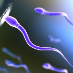 Maszyny do zapładniania?